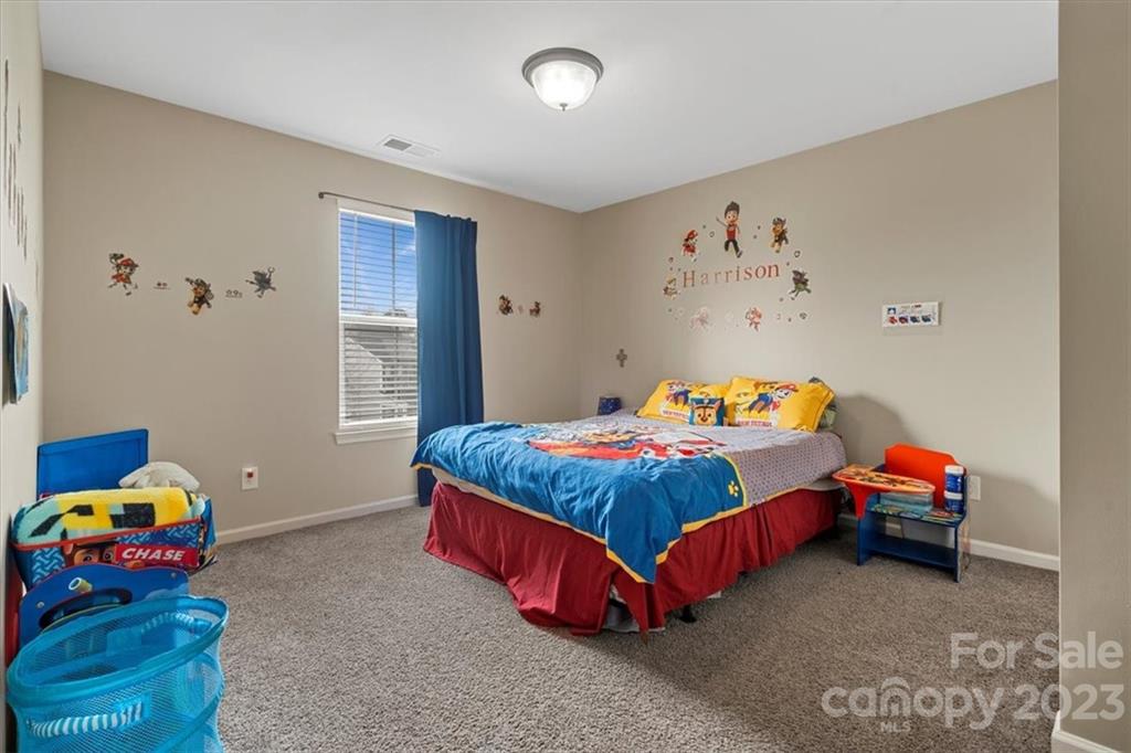 359 Chorus Road Fort Mill, SC 29715 - Photo 24 of 40 Gallery Image 24