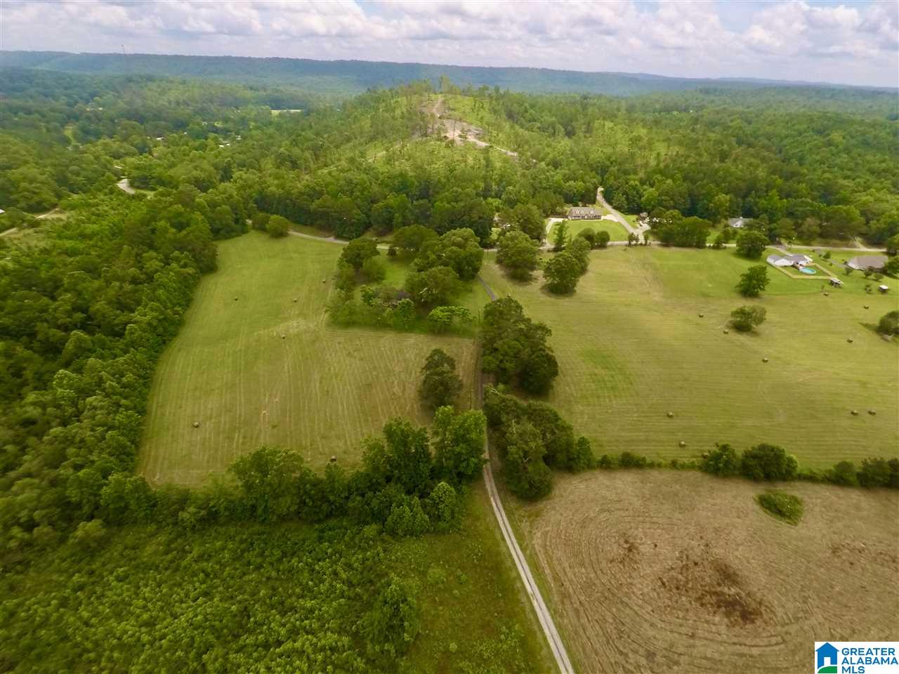 3775 Tidwell Hollow Road Oneonta, AL 35121 - Photo 2 of 49