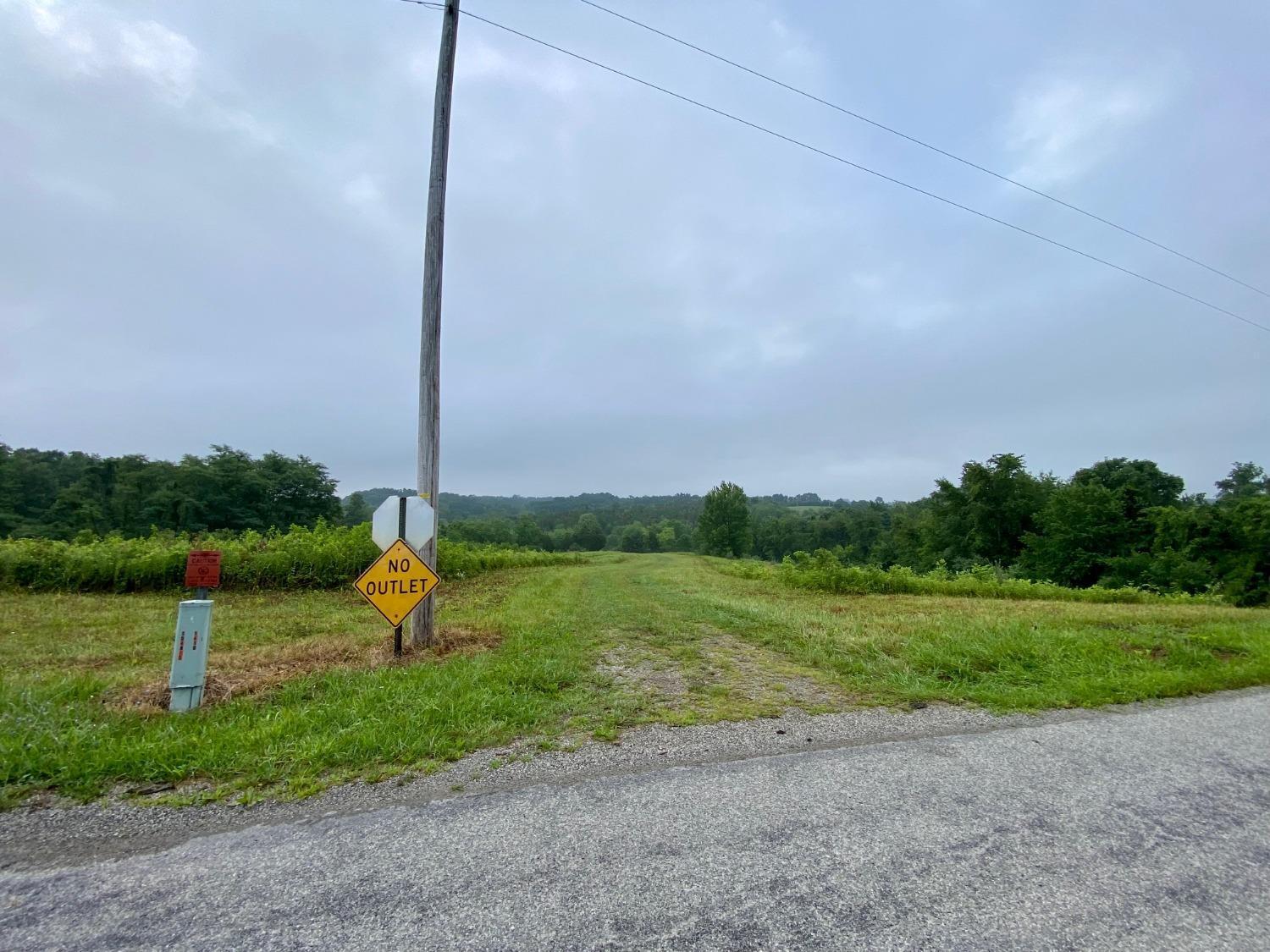 Acre Brier Ridge Road West Union, OH 45693 - Photo 22 of 27