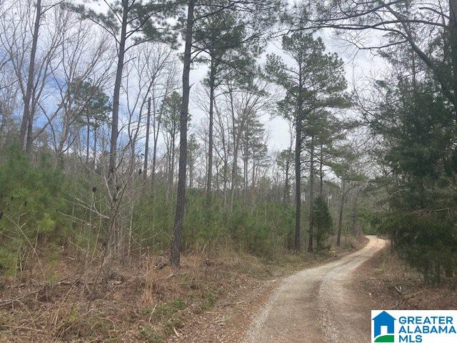 Lambert Road, Unit 9 Cragford, AL 36255 - Photo 2 of 3