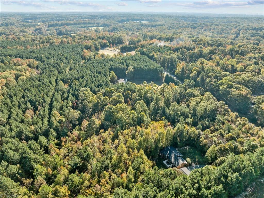 5121 Watchtower Road Julian, NC 27283 - Photo 7 of 9 Gallery Image 7