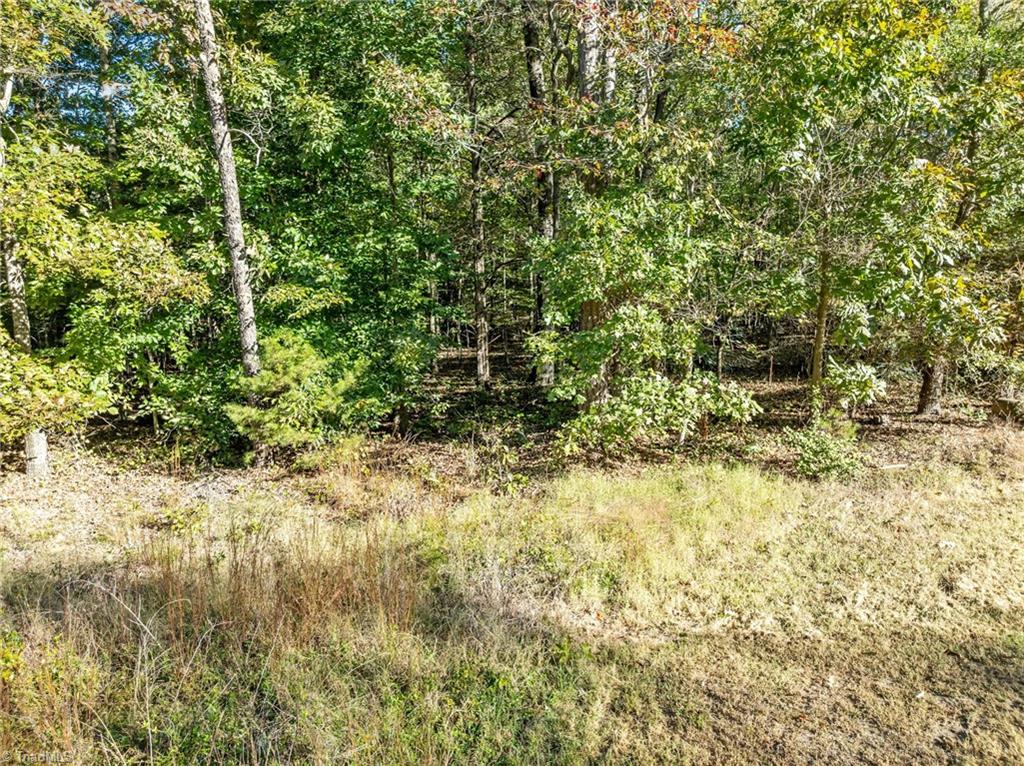 5121 Watchtower Road Julian, NC 27283 - Photo 9 of 9 Primarily Flat parcel