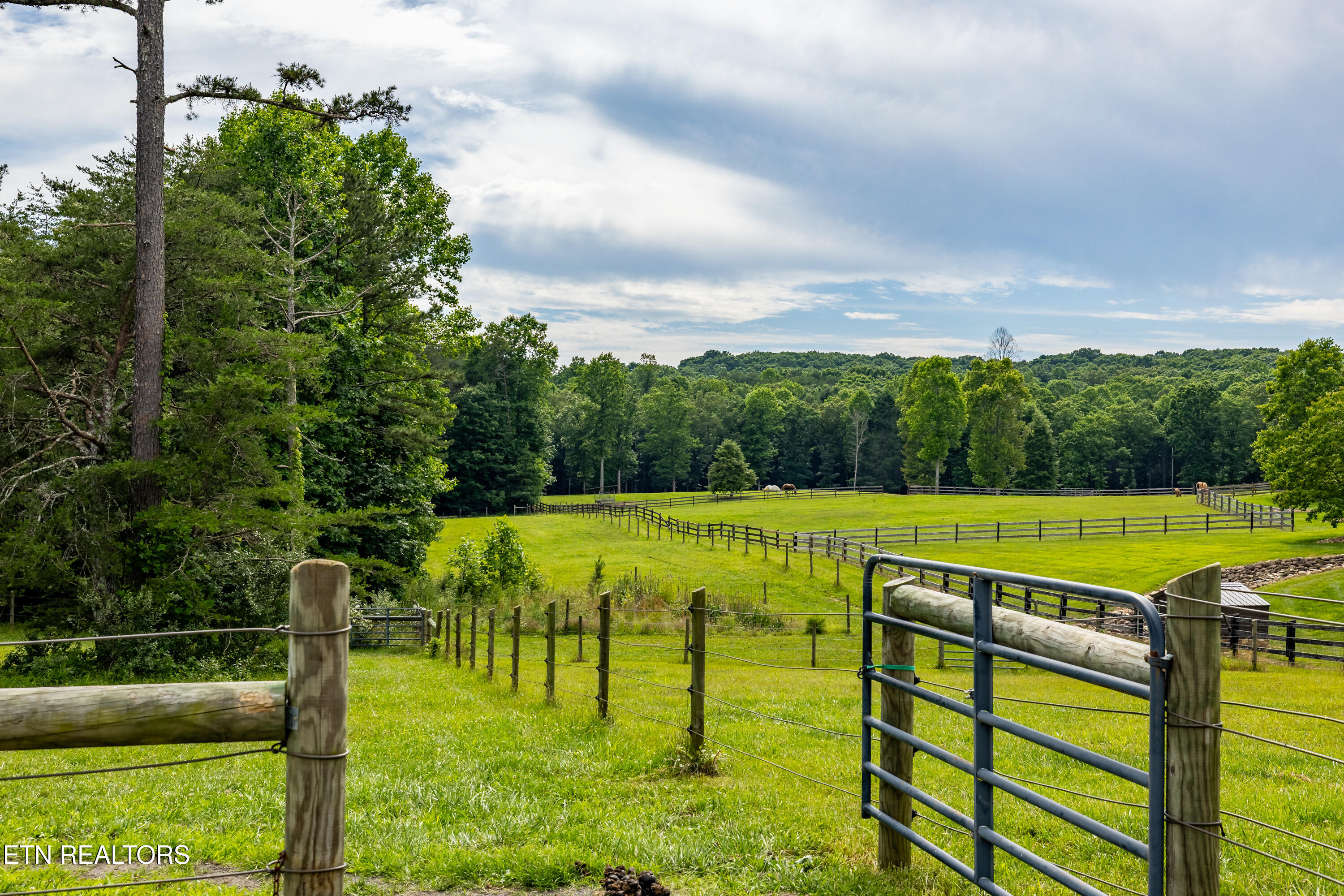 1152 Brier Branch Road Graysville, TN 37338 - Photo 41 of 49 Pasture Views