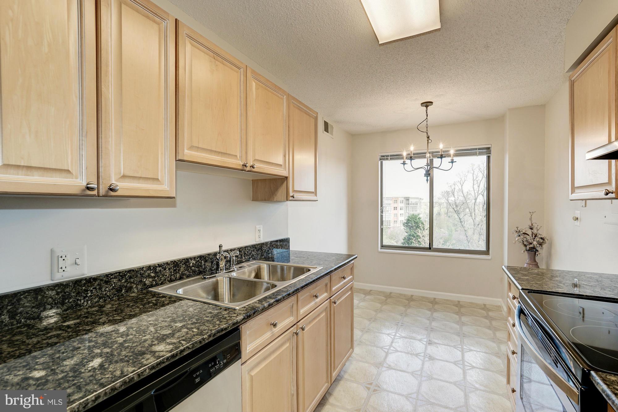 19385 Cypress Ridge Terrace, Unit 207 Leesburg, VA 20176 - Photo 9 of 21 Kitchen