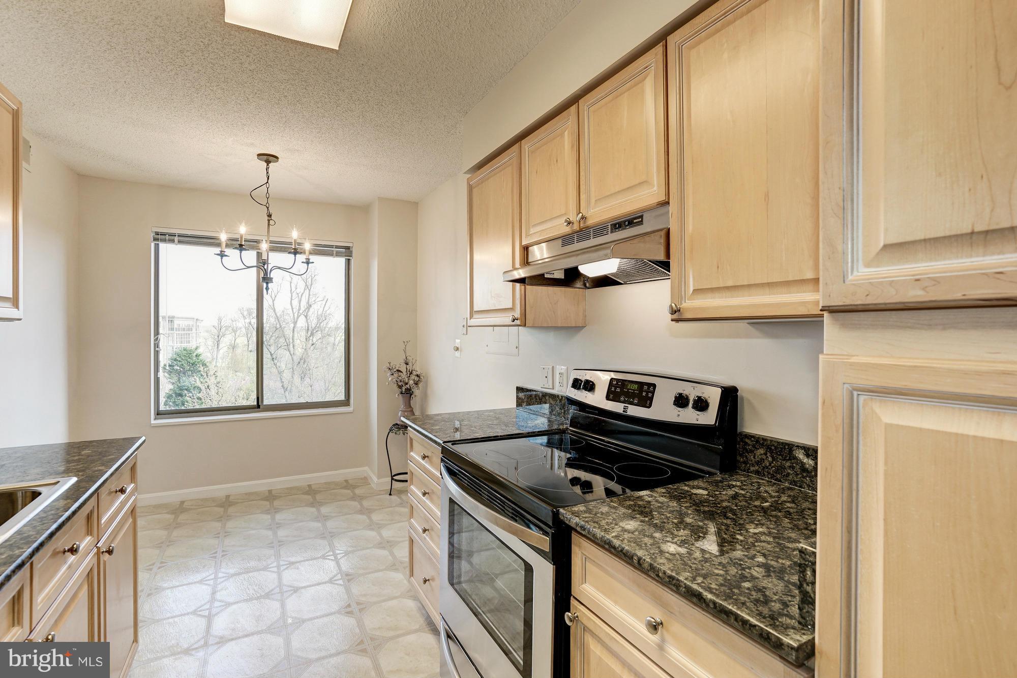 19385 Cypress Ridge Terrace, Unit 207 Leesburg, VA 20176 - Photo 10 of 21 Kitchen
