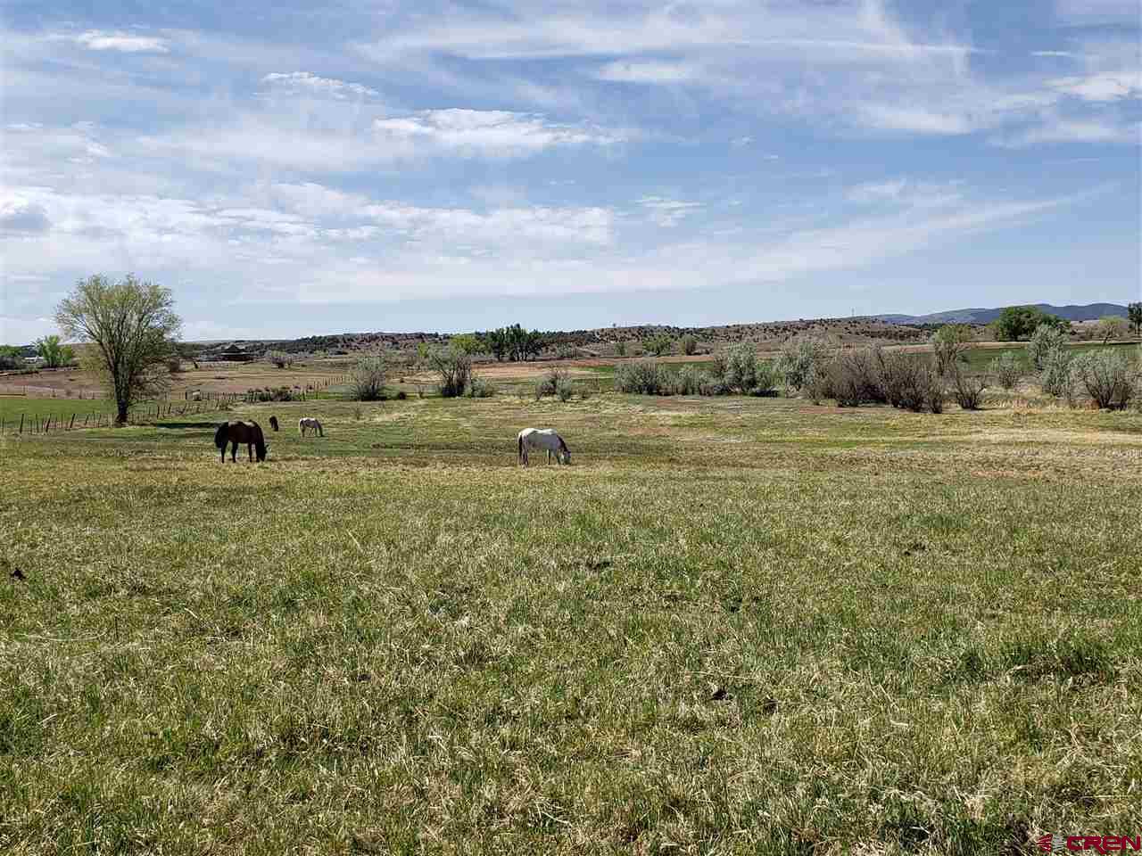27722 CC Road Nucla, CO 81424 - Photo 22 of 25 Gallery Image 22