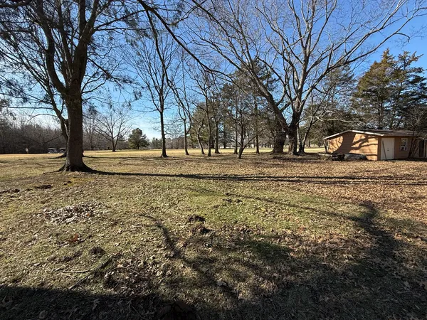 a view of a yard with a large tree