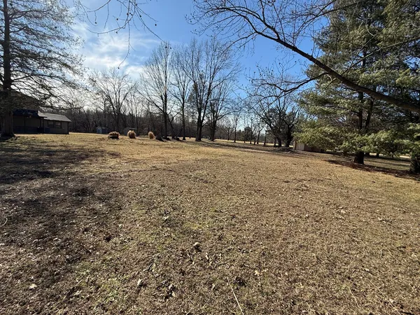 a view of a yard with trees