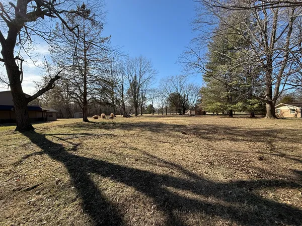 a view of dirt yard with a tree
