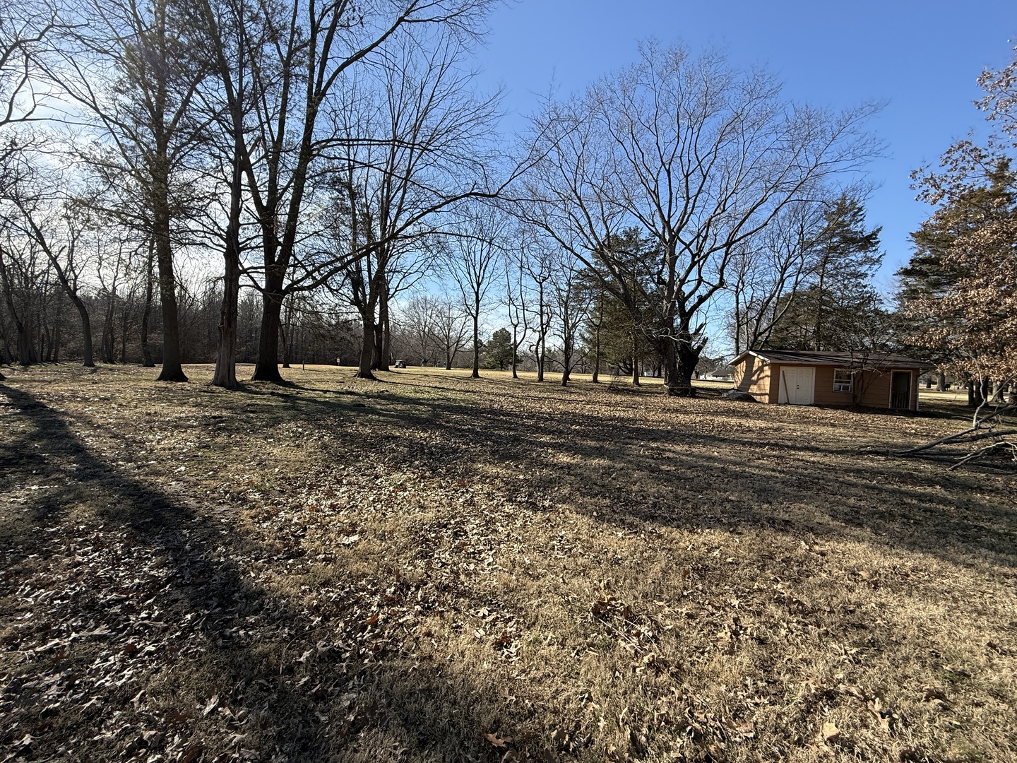 0 Parrish Lane Murphysboro, IL 62966 - Photo 7 of 10