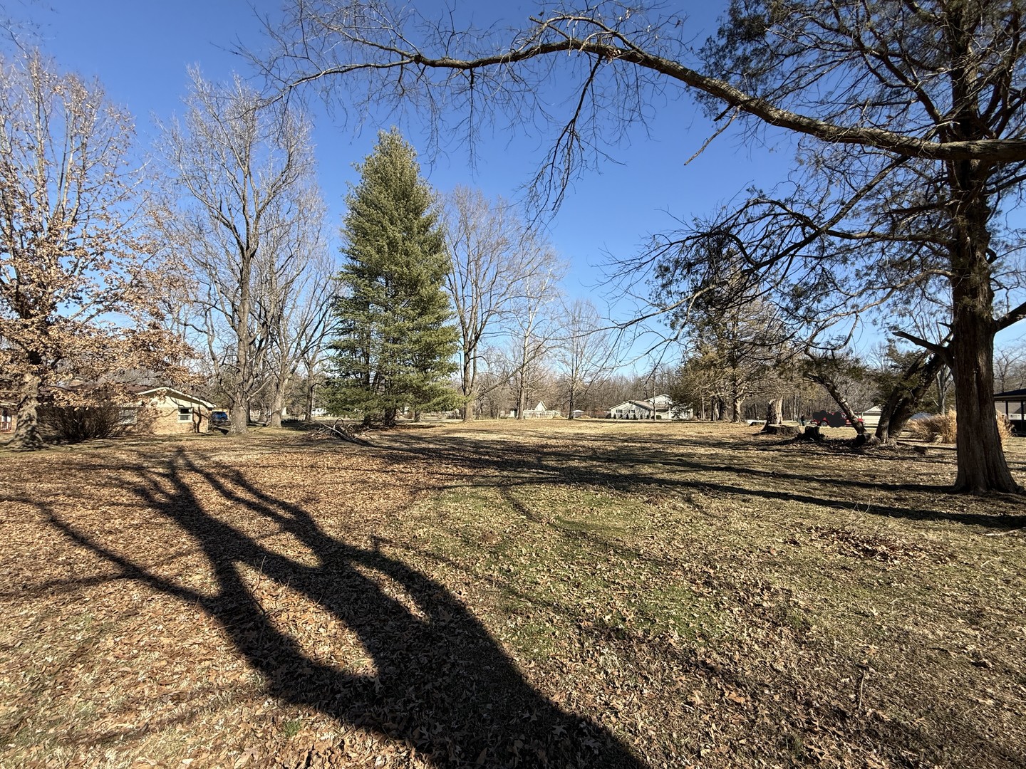 0 Parrish Lane Murphysboro, IL 62966 - Photo 8 of 10