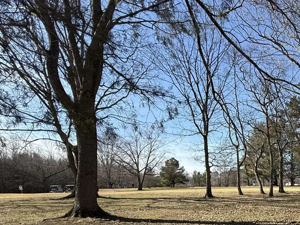 a view of a yard in the middle of a yard