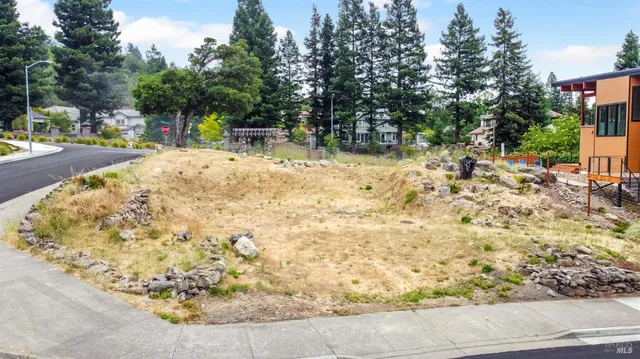 a view of outdoor space with trees