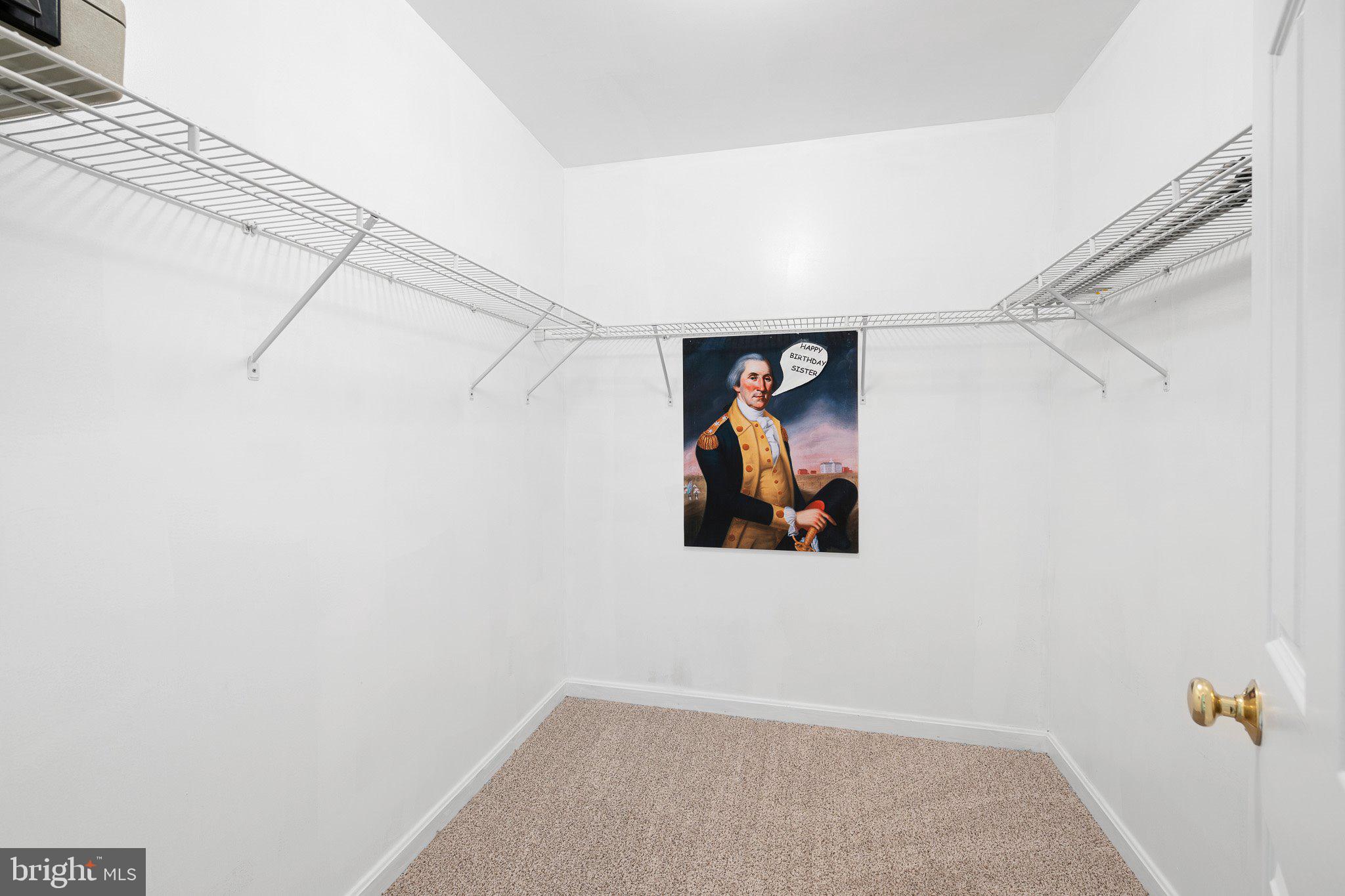171 Hardwood Drive Dover, DE 19904 - Photo 23 of 38 Walk in Closet