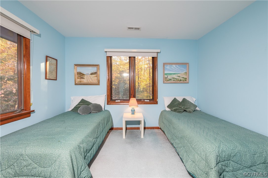 209 Hempstead Road Williamsburg, VA 23188 - Photo 19 of 35 Gallery Image 19