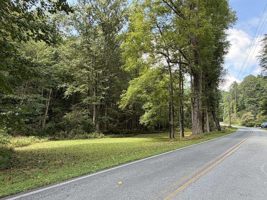 6.13-ac Lucius Road Blue Ridge, GA 30513 - Photo 1 of 21 Main View
