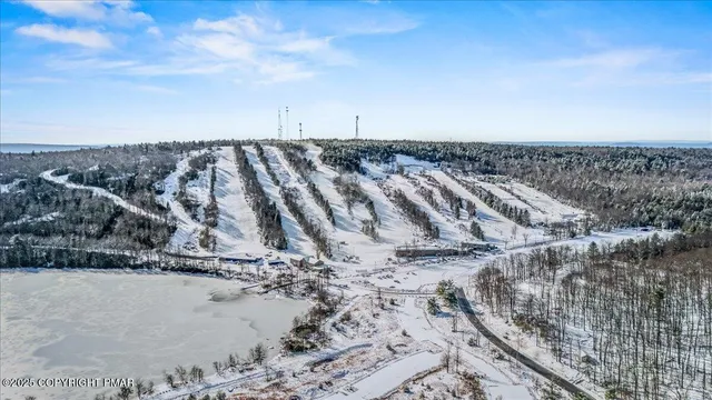 a view of a dry yard with wooden fence
