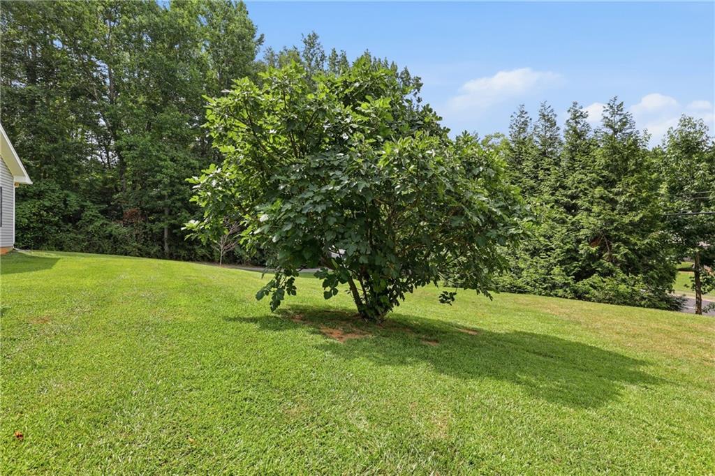 980 Falls Road Toccoa, GA 30577 - Photo 55 of 57