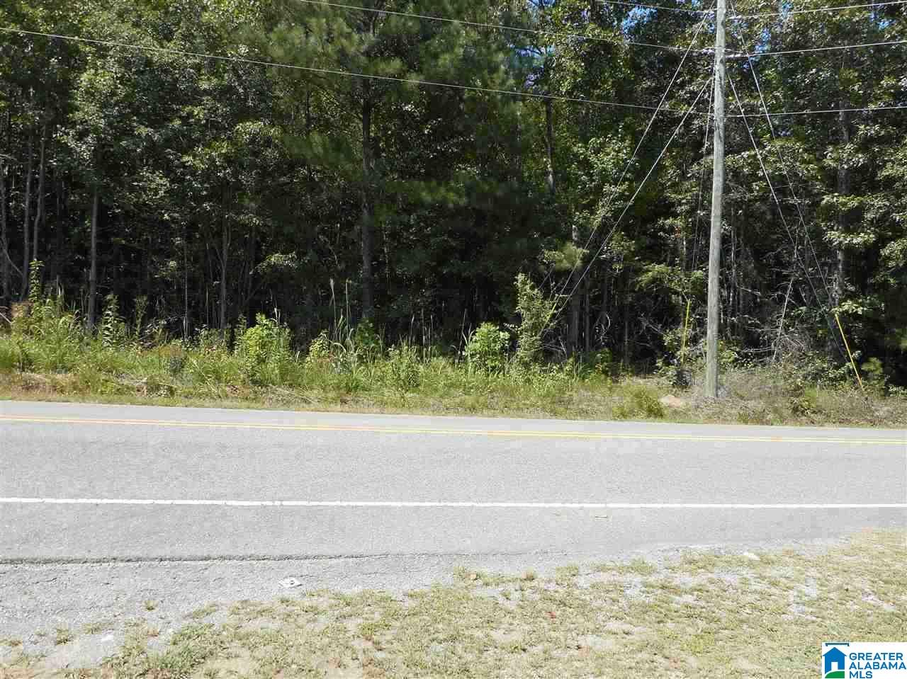 3957 Pleasant Valley Road, Unit 13 ACRES Odenville, AL 35120 - Photo 5 of 5