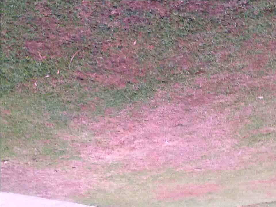 0 3rd Street Flora, MS 39071 - Photo 5 of 5 Photo 5