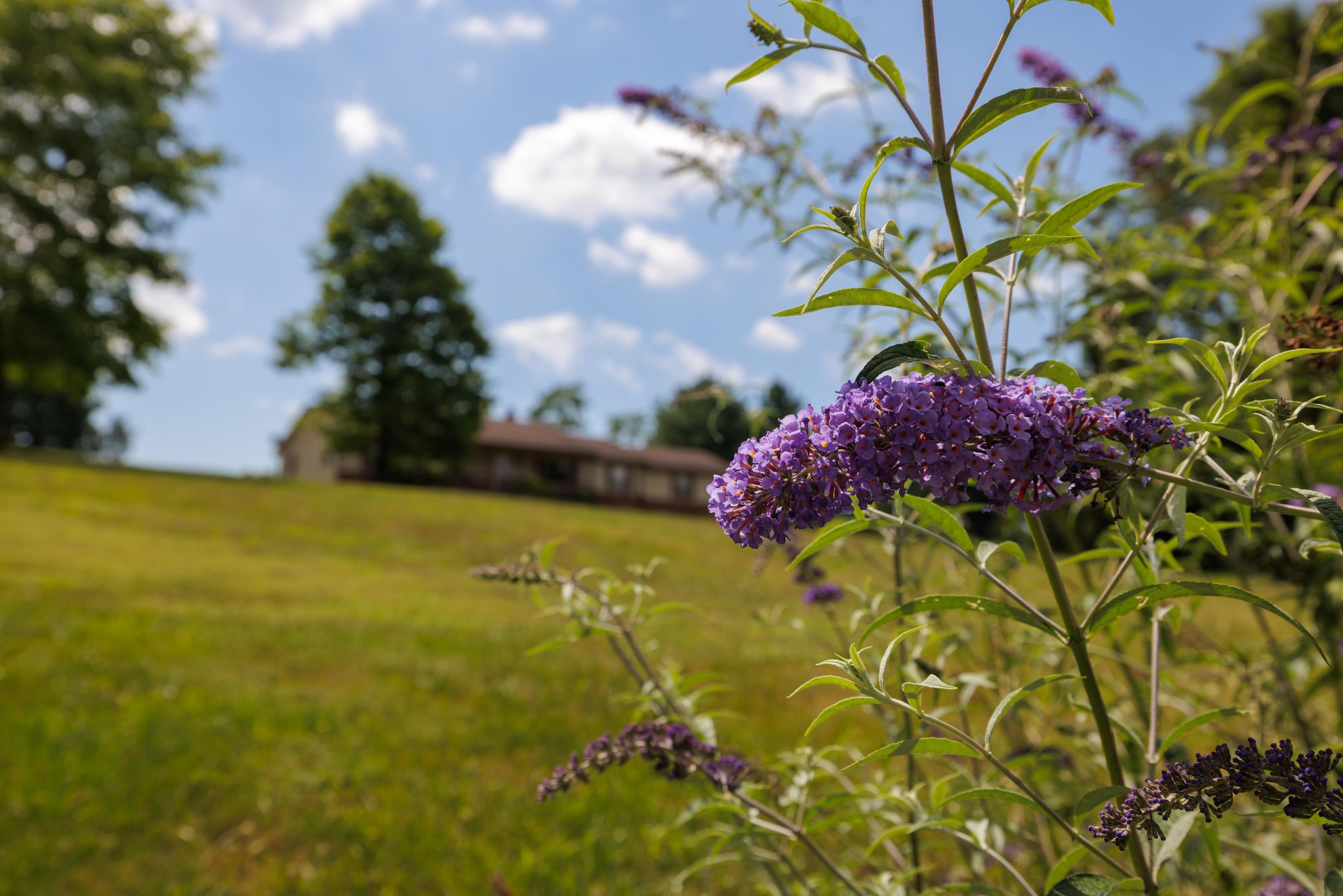 500 Varner Road Churchville, VA 24421 - Photo 4 of 64