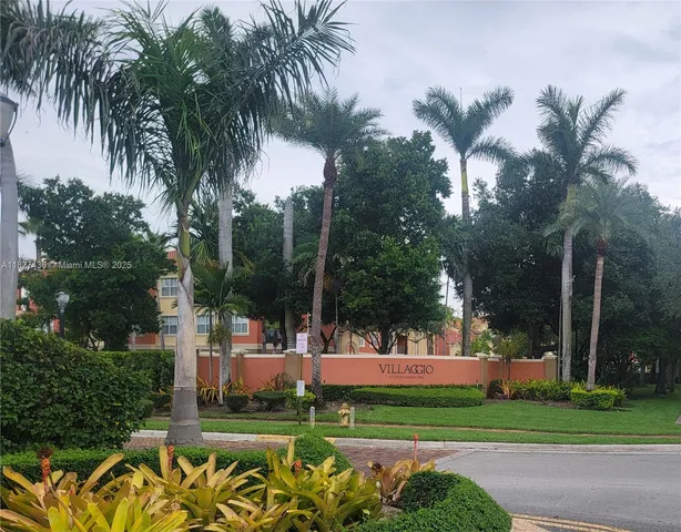 a view of a park with palm trees