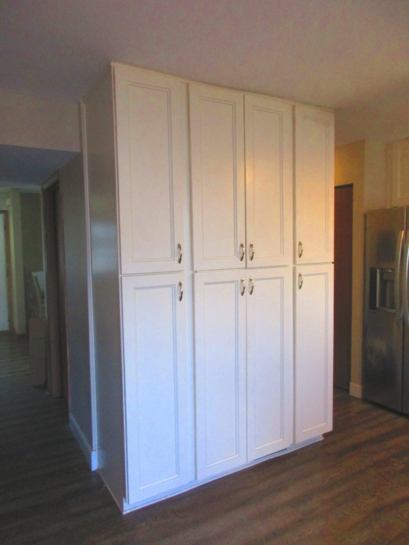 422 Hummingbird Lane Bolingbrook, IL 60440 - Photo 6 of 42 Gallery Image 6