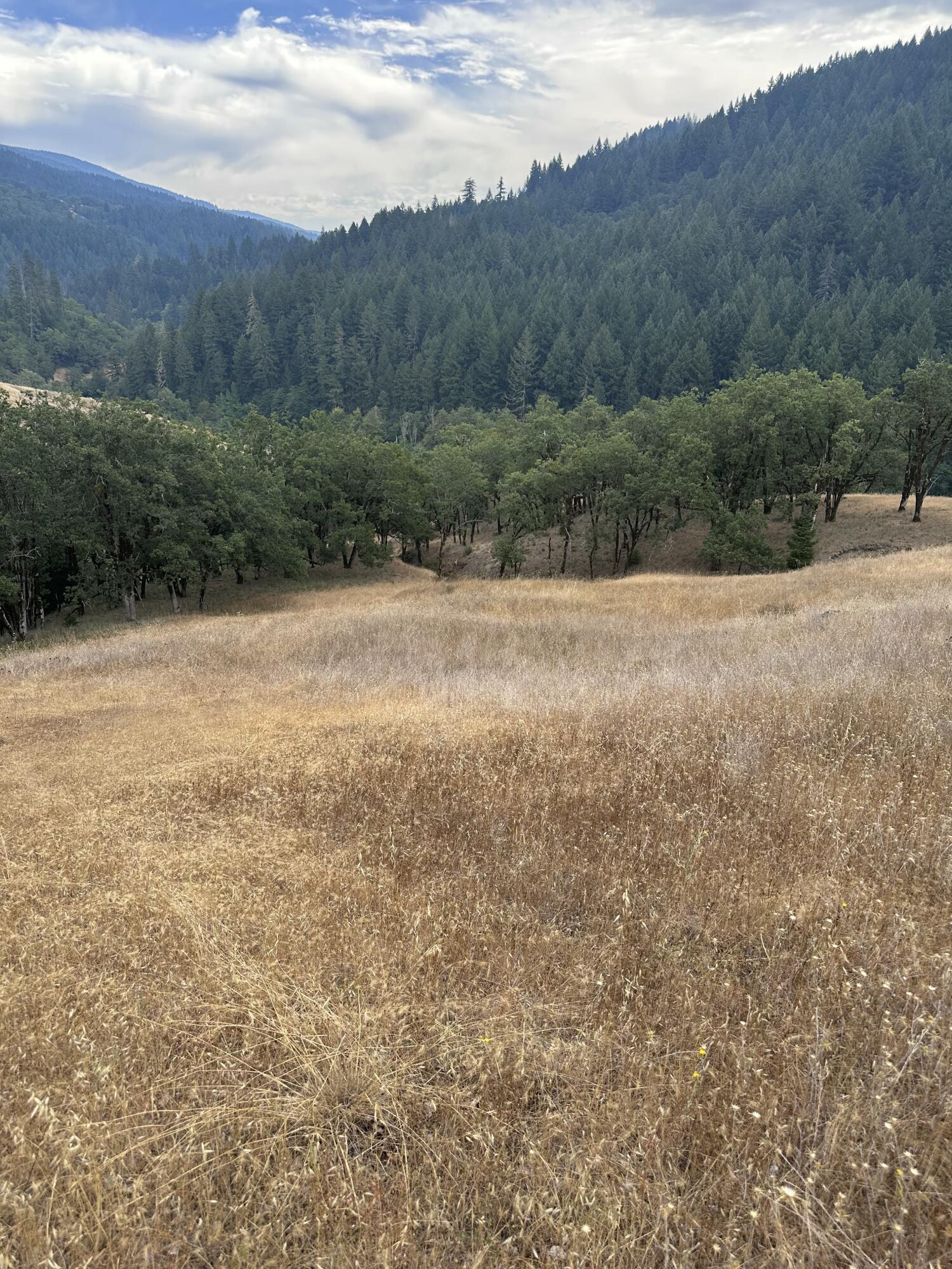 0 River Road Miranda, CA 95553 - Photo 9 of 31
