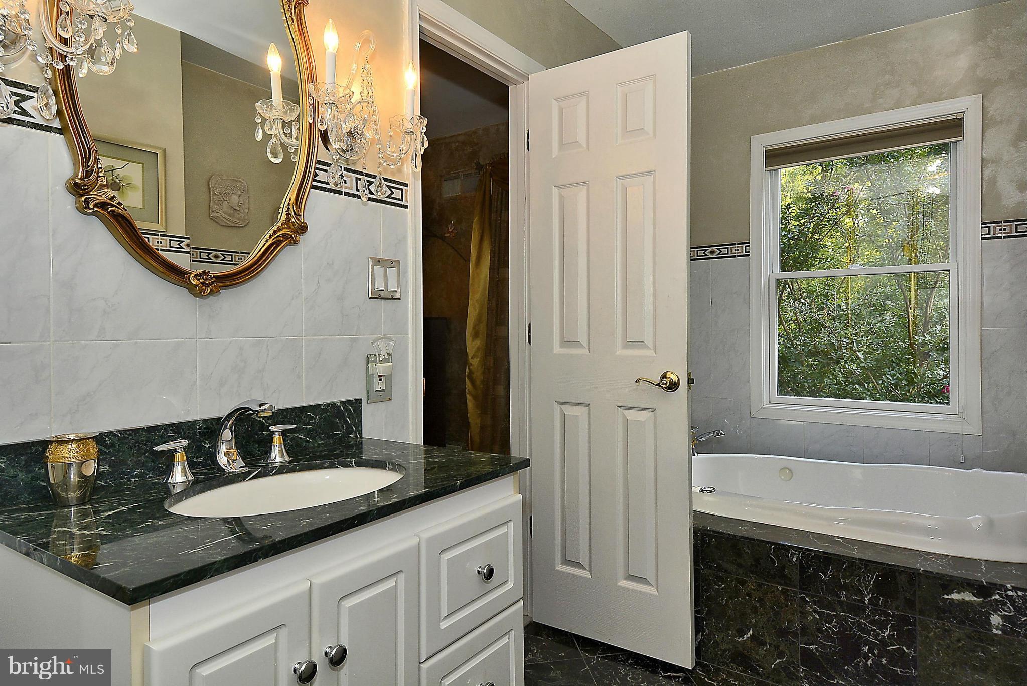 8616 Atwell Road Potomac, MD 20854 - Photo 22 of 30 Bath (Master)