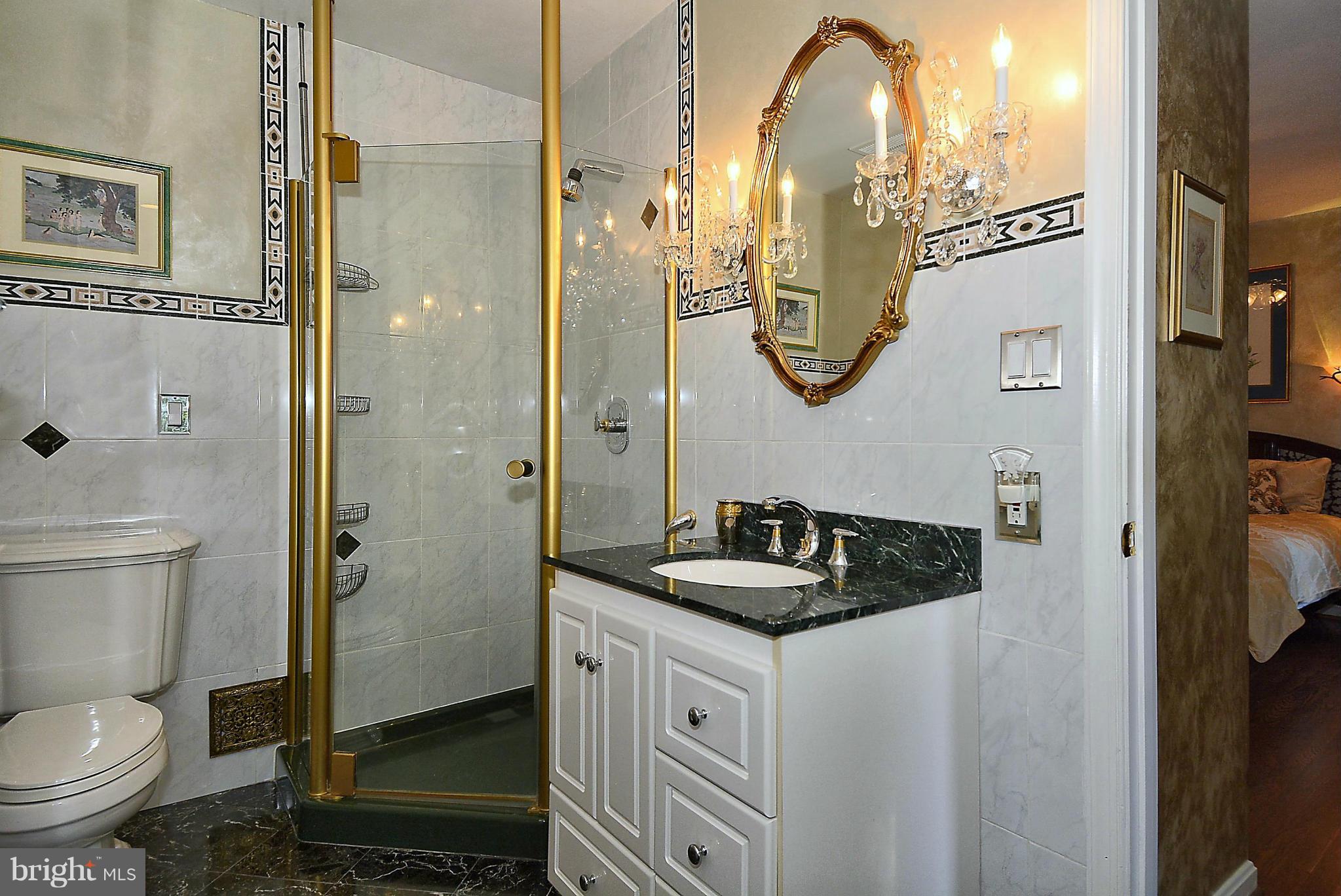 8616 Atwell Road Potomac, MD 20854 - Photo 23 of 30 Bath (Master)