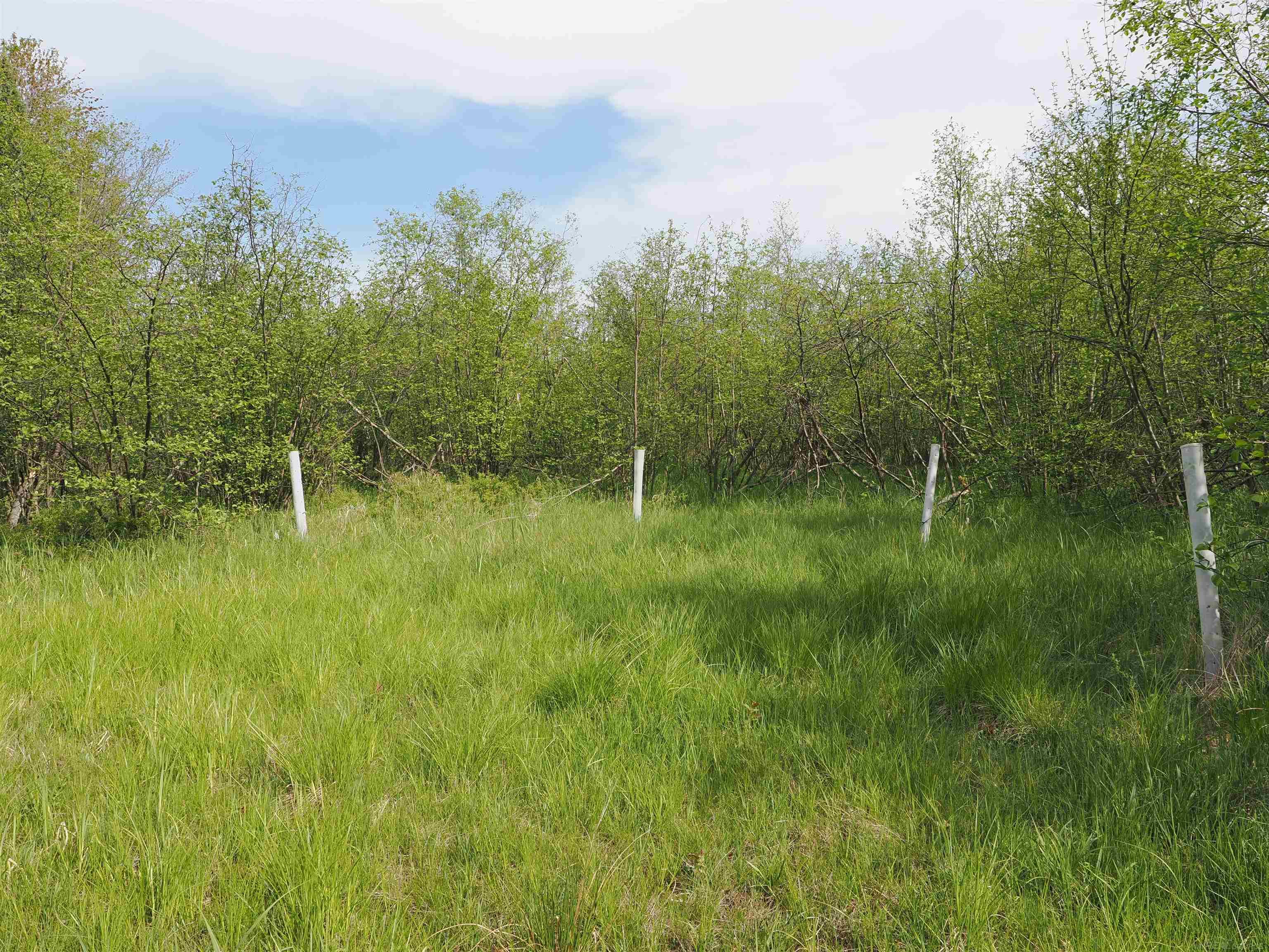 4011 Sandall Road Alpena, MI 49707 - Photo 46 of 73