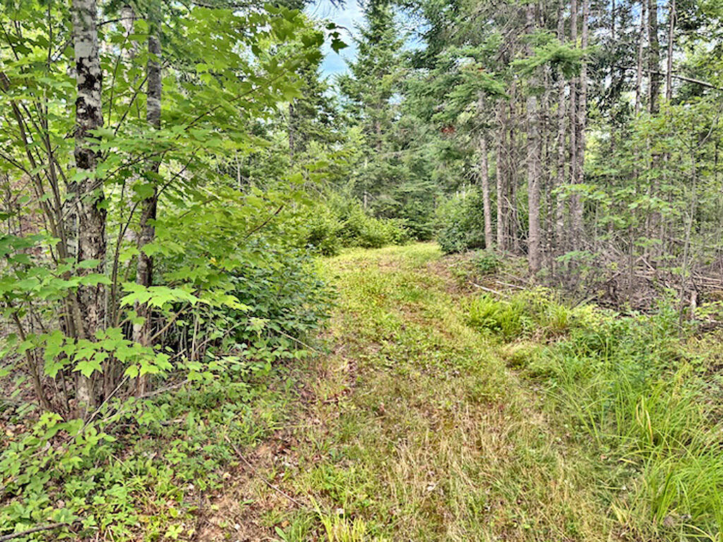 Lot 33-1a Smith Road Orient, ME 04471 - Photo 3 of 26 land-maine-walking-trails