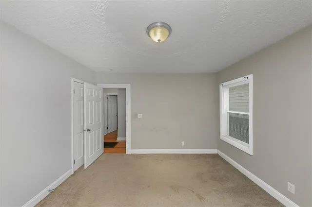 a view of a yard with a trees