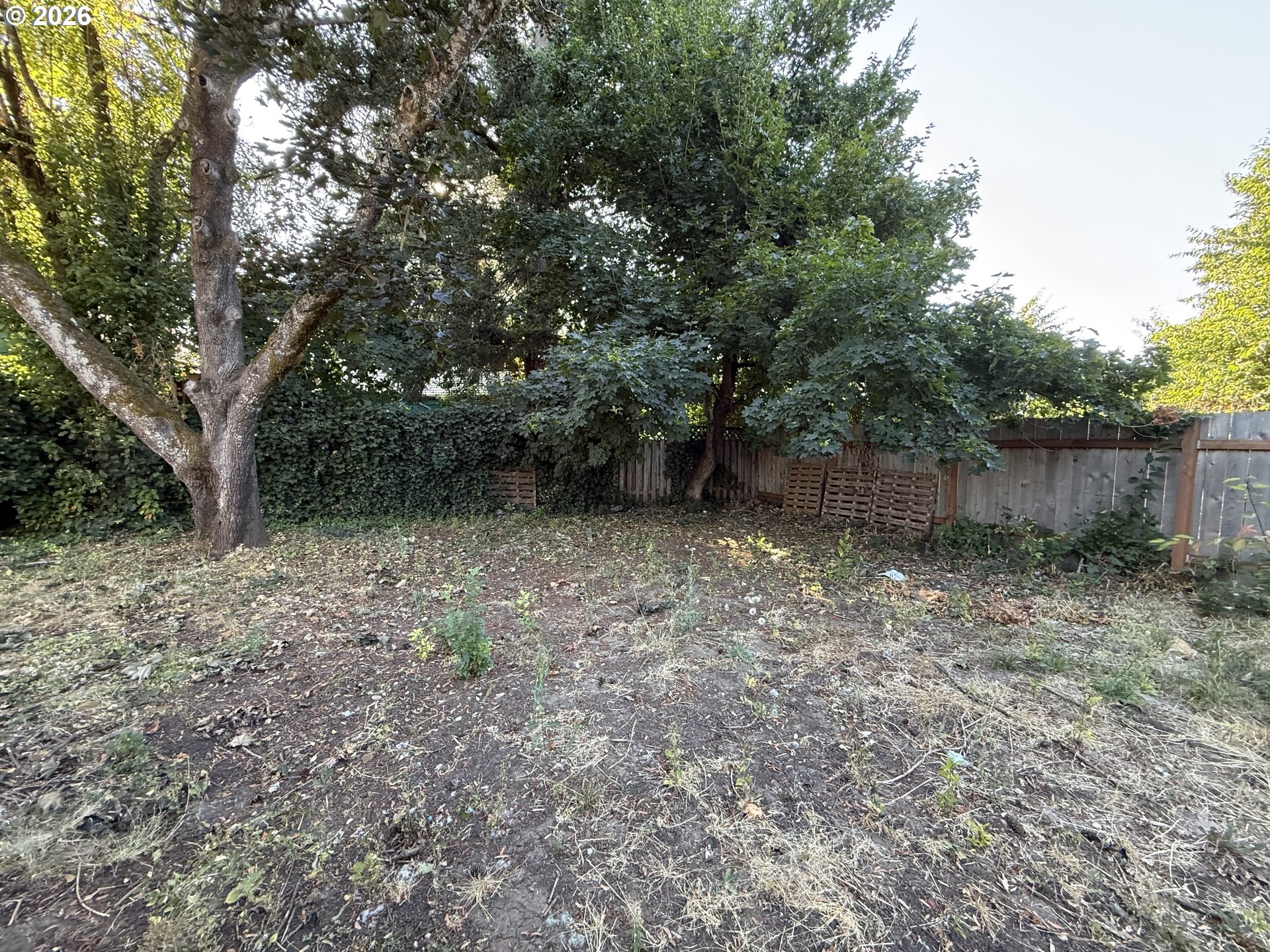 4694 Daisy Street Springfield, OR 97478 - Photo 22 of 25 Gallery Image 22