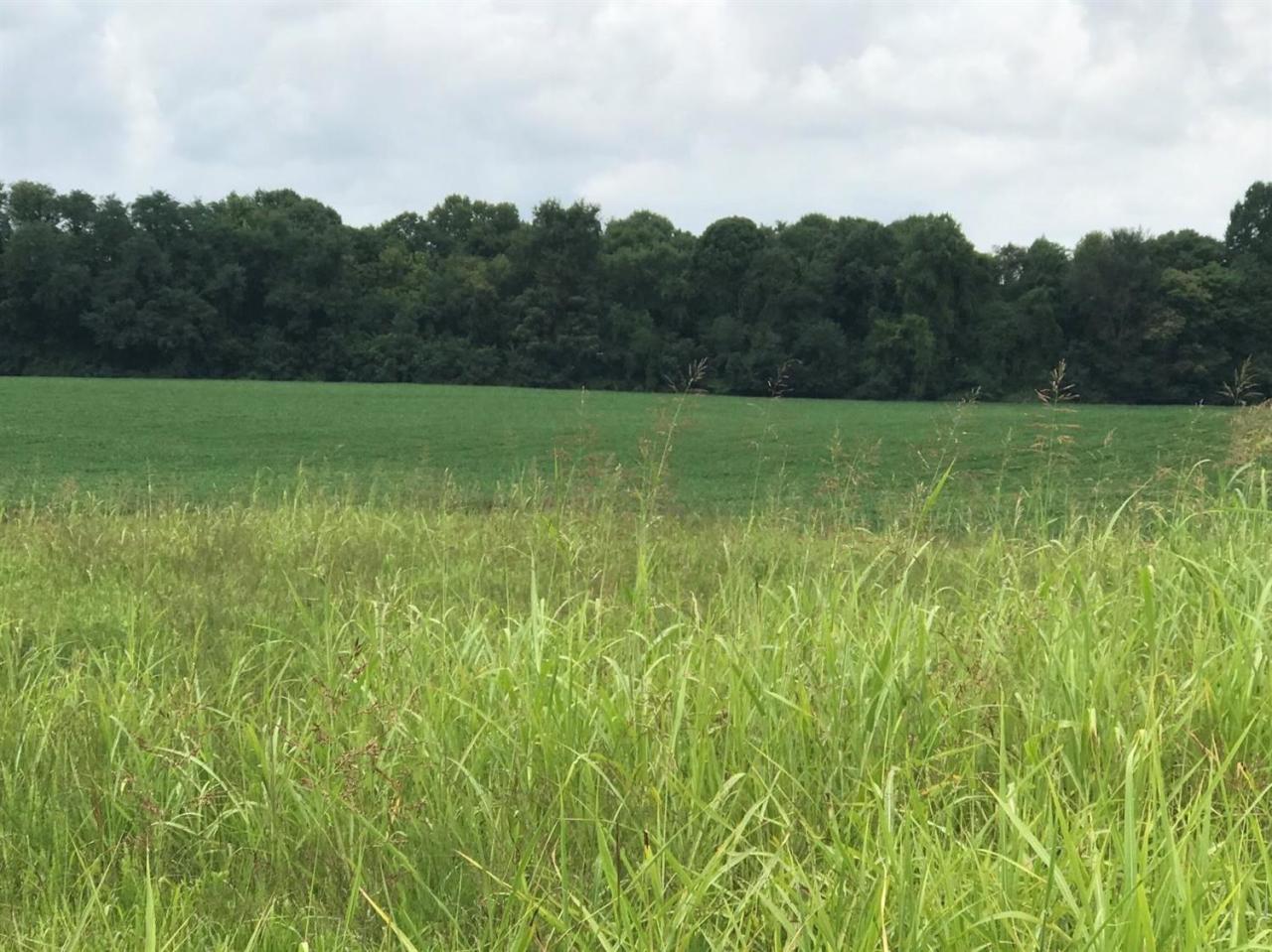 34 South Romine Loop Road Campbellsville, KY 42718 - Photo 2 of 16 Additional Photo