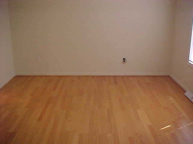 210 Addison Circle Pelzer, SC 29669 - Photo 5 of 8
