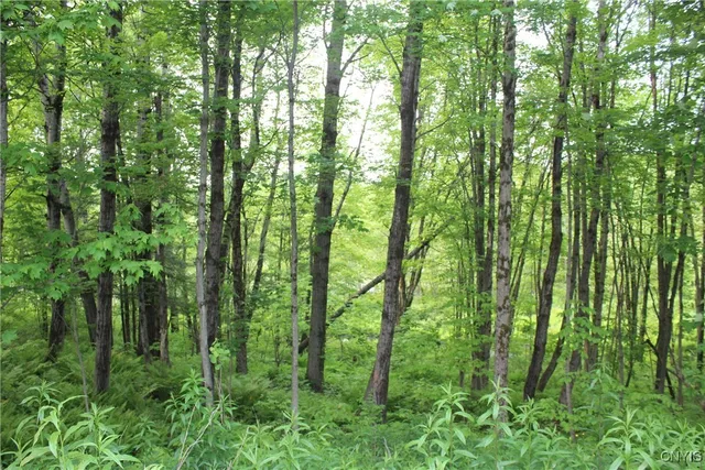 $219,900 | Westdale Road, Unit 16, Westdale, NY 13483