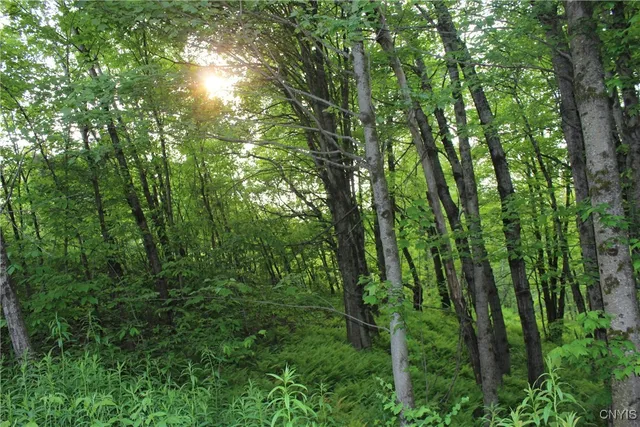 $219,900 | Westdale Road, Unit 16, Westdale, NY 13483