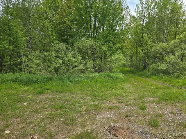 $219,900 | Westdale Road, Unit 16, Westdale, NY 13483