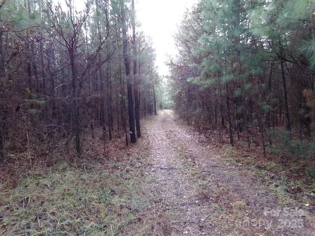 a view of a yard with trees