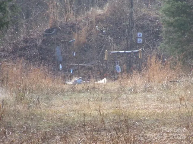 a view of a dry yard