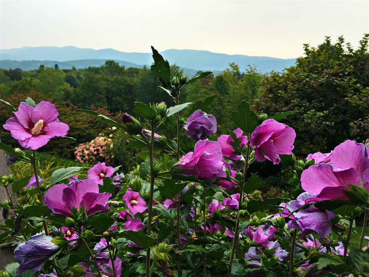 1717 North Bayley Hazen Road Ryegate, VT 05042 - Photo 29 of 38 Gallery Image 29