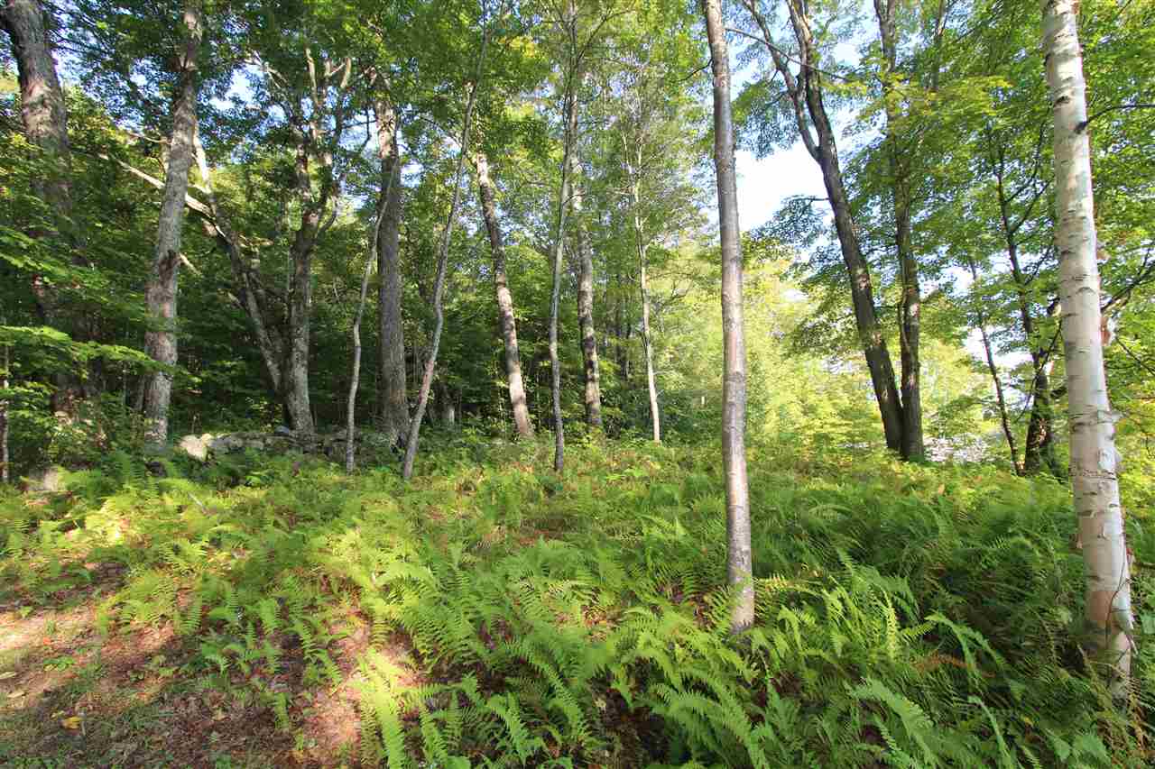 1717 North Bayley Hazen Road Ryegate, VT 05042 - Photo 37 of 38 Gallery Image 37