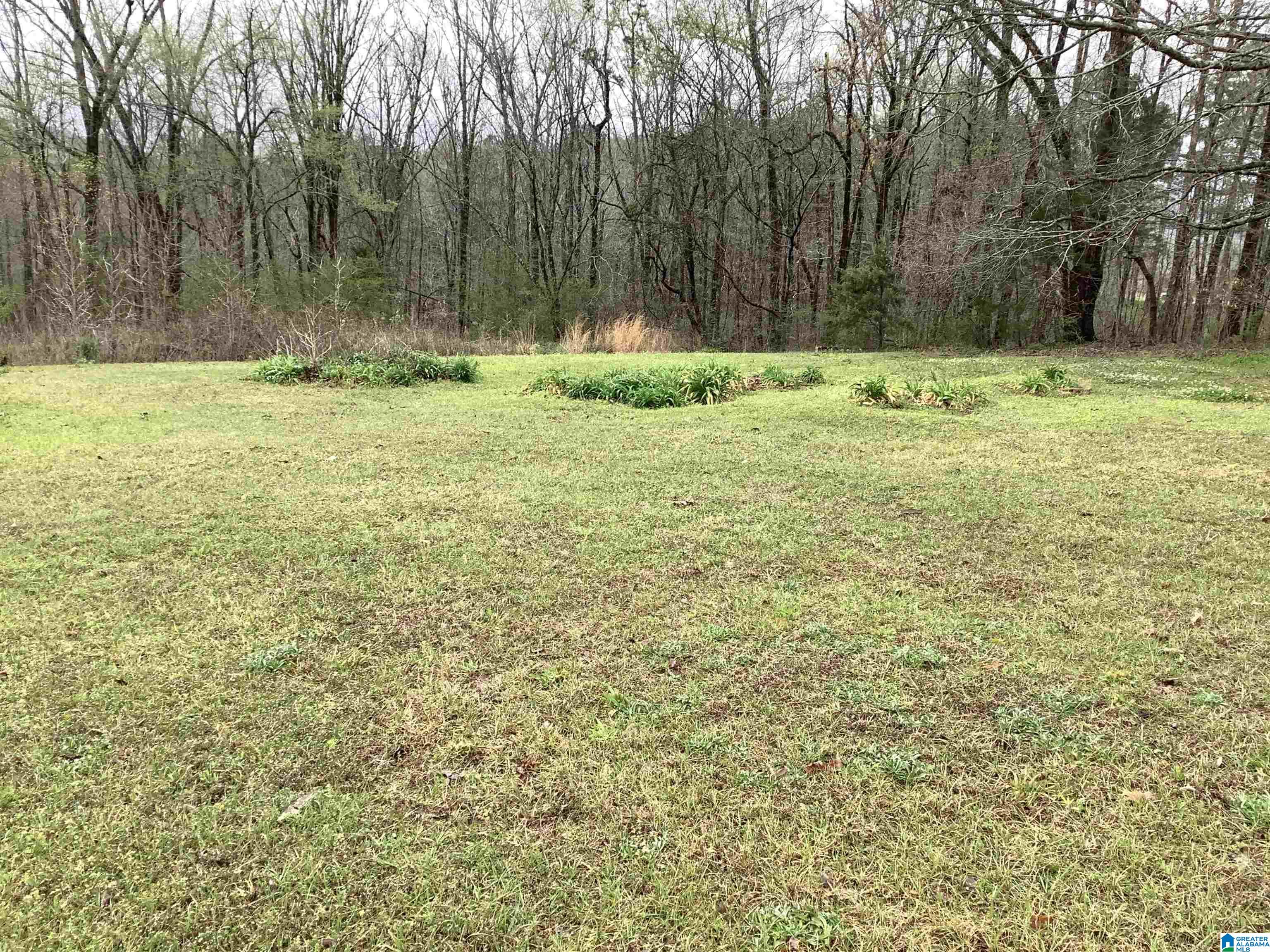320 Will Keith Road Trussville, AL 35173 - Photo 8 of 40