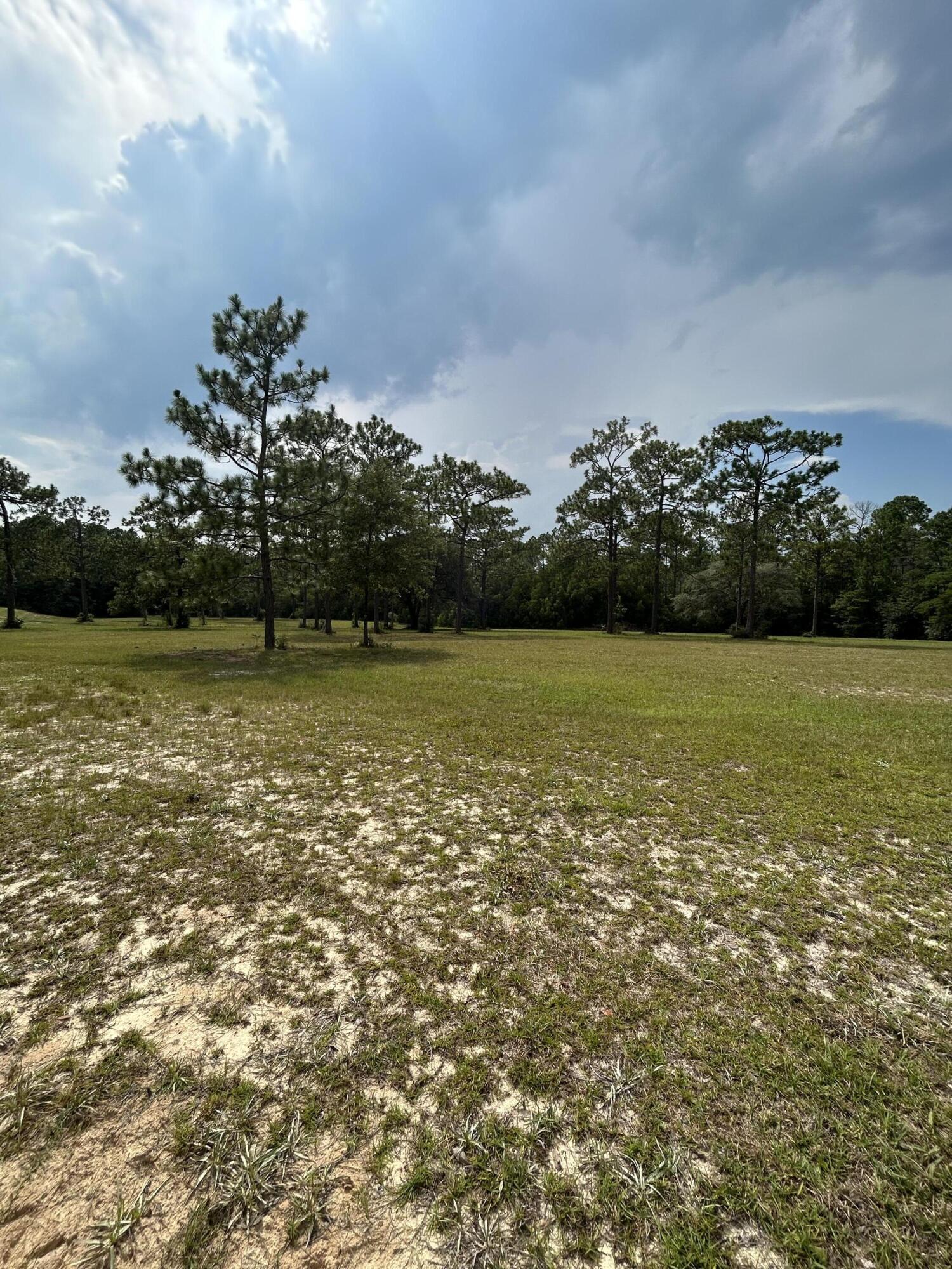 329 Sunflower Lane Freeport, FL 32439 - Photo 29 of 39 a view of a ocean with beach
