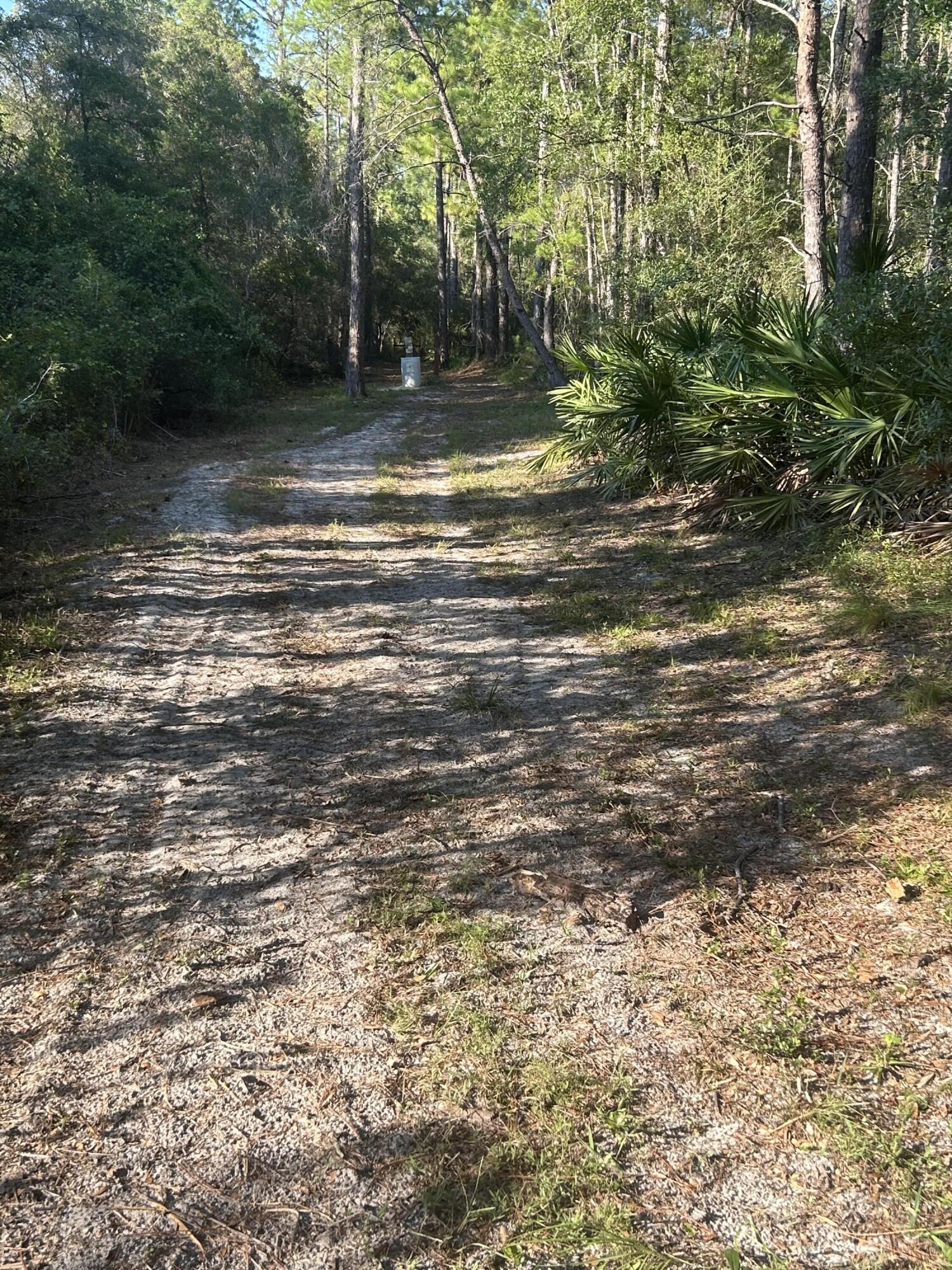 329 Sunflower Lane Freeport, FL 32439 - Photo 33 of 39 a backyard of a house with lots of green space