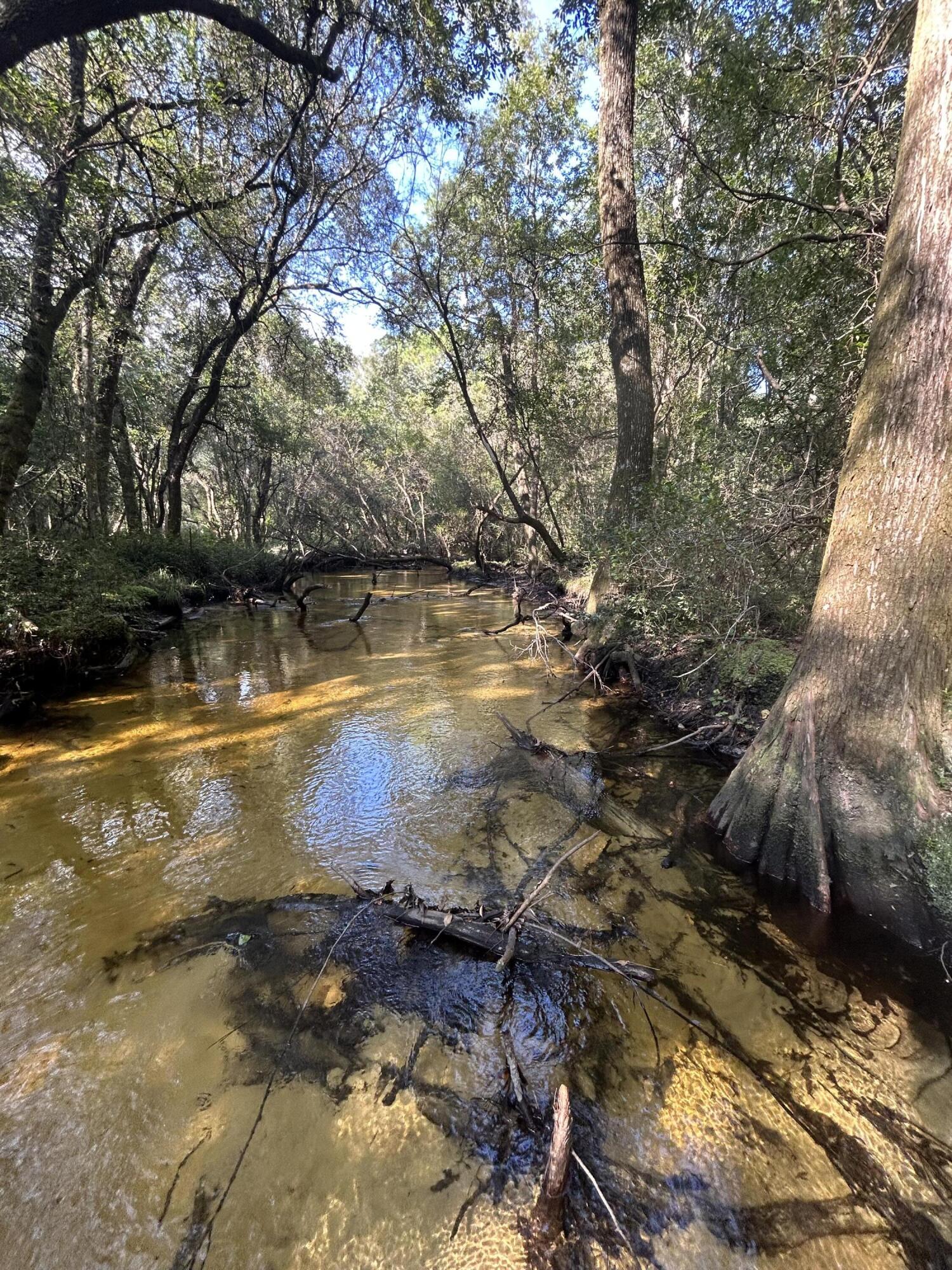 329 Sunflower Lane Freeport, FL 32439 - Photo 34 of 39 a view of an outdoor space with swimming pool