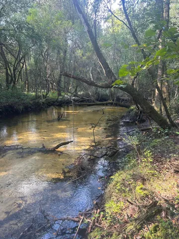 a view of swimming pool with outdoor seating and yard
