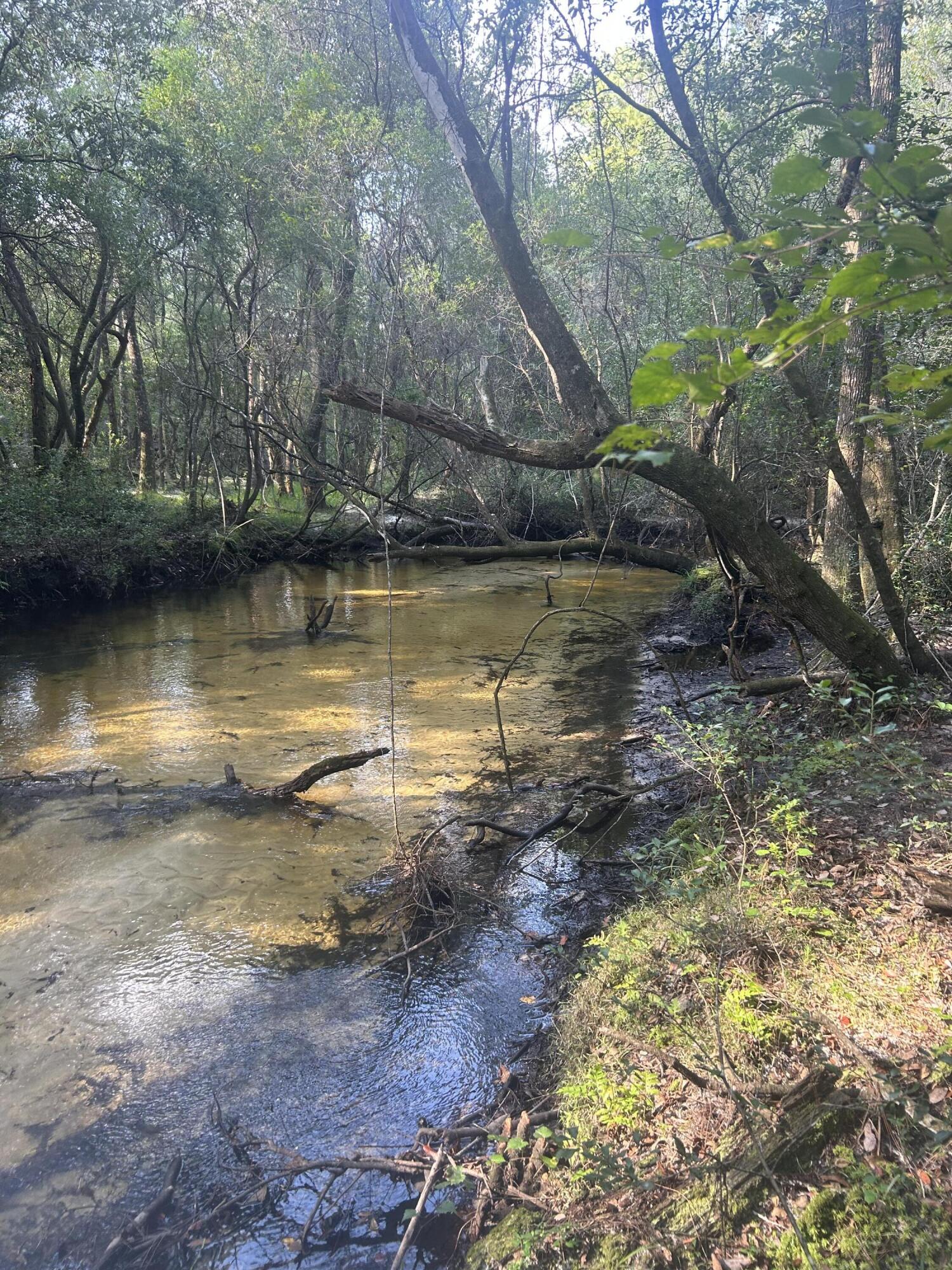 329 Sunflower Lane Freeport, FL 32439 - Photo 35 of 39 a view of a lake with trees