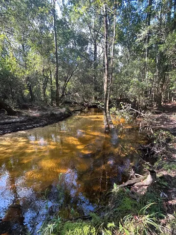 $5,195,000 | 329 Sunflower Lane, Freeport, FL 32439